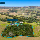 DJI 20250203115115 0035 D Edit Edit thumb